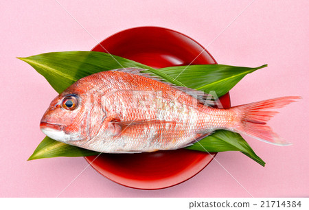 Lake Hamana, natural minced sea bream of Osaka port (red sea bream / hope). 21714384