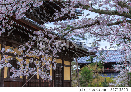 Nanzenji Nanzenji 21715803