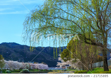 鴨川地區 鴨川地區 21715895