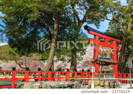Kamigamo神社 21716224