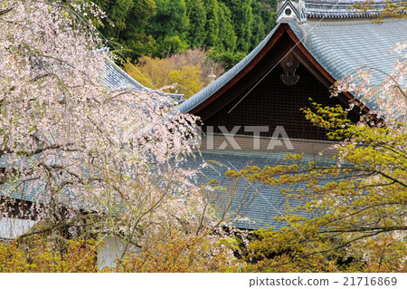 Tenryu temple Tenryu temple 21716869