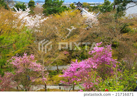 Tenryu temple Tenryu temple 21716871