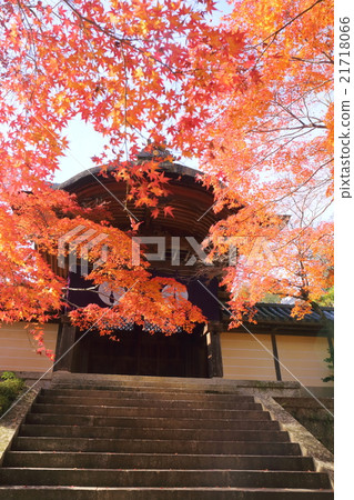 Komyoji Temple in Kyoto Autumn and Tesutoko gate 21718066
