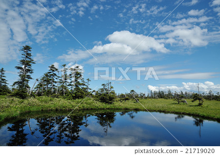 Matsuyama marshland in Hokkaido Matsuyama marshland in Hokkaido 21719020