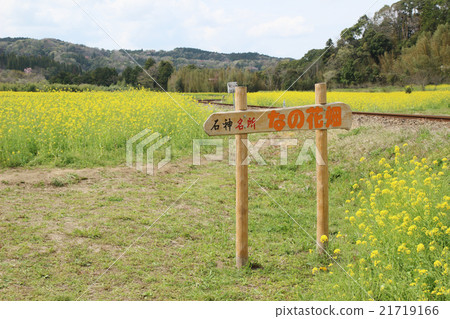 花園 21719166