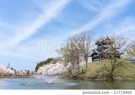 高田城堡和櫻花 21719468