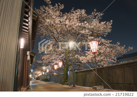 櫻桃寶藏鎮 21719822