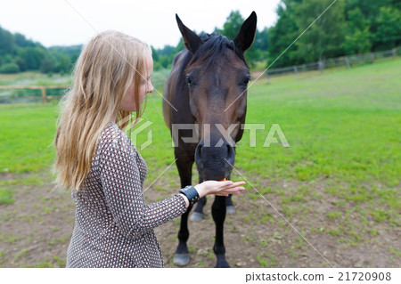 Girl feeding the horse 21720908