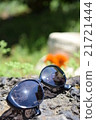 Summer sunshine and sunglasses 21721444