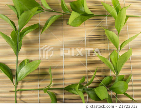 Ruscus aculeatus, known as butcher's.  for text 21722312