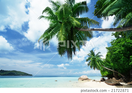beach on Mahe island in Seychelles beach on Mahe island in Seychelles 21722871