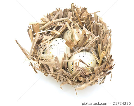 Nest with Eggs Nest with Eggs 21724250
