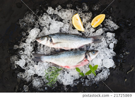 Raw seabass with lemon and rosemary on chipped ice 21725869