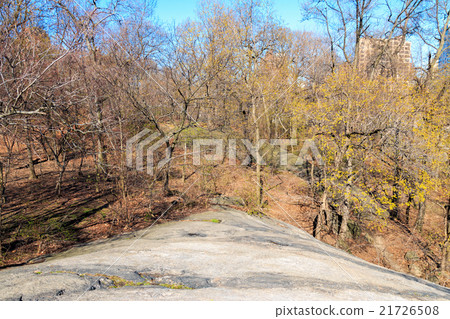 Central Park Spring Scene - New York City 21726508