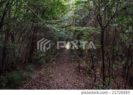 Lost answer image Lost answer image 21726983