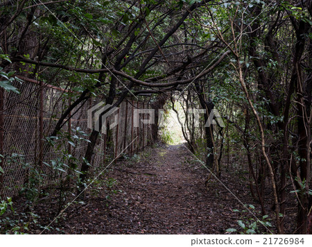 A way out with low key A way out with low key 21726984