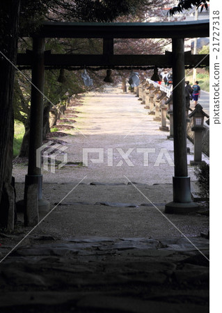 櫻花地毯 櫻花地毯 21727318