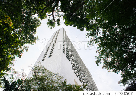 Modern Building in Windows of Trees 21728507