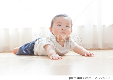 baby, infant, baby boy 21728902