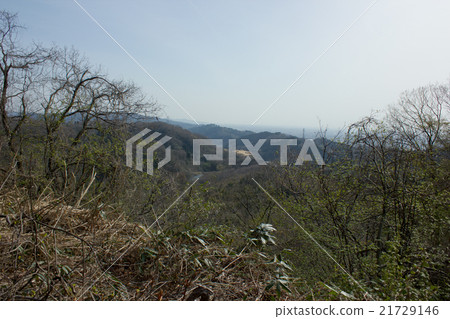 Kutara Lara Battlefield Kutara Lara Battlefield 21729146