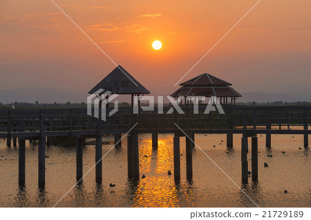 Bung Bua  khao sam roi yod national park, Thailand 21729189