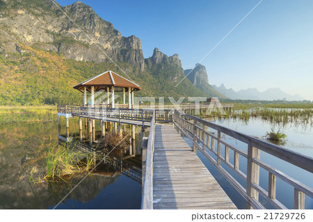 Bung Bua khao sam roi yod national park thailand Bung Bua khao sam roi yod national park thailand 21729726