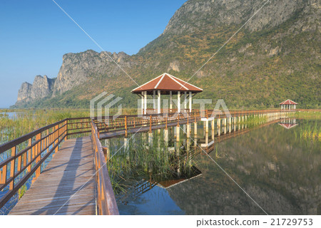 Bung Bua khao sam roi yod national park, thailand Bung Bua khao sam roi yod national park, thailand 21729753
