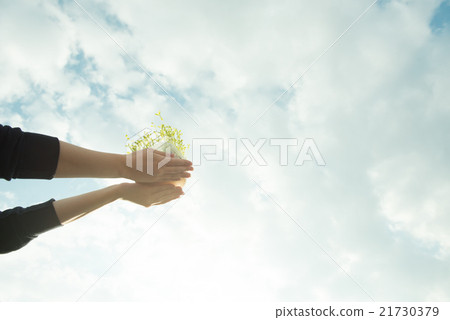 天空和豆芽 21730379