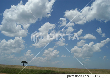 The blue sky of the meadow The blue sky of the meadow 21731306