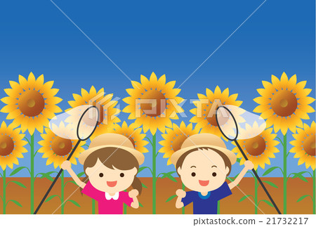sunflower sunflower 21732217