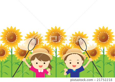 sunflower sunflower 21732218