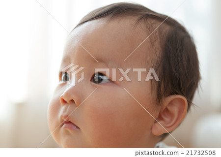 baby, infant, baby boy 21732508