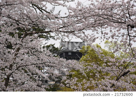 佐倉的岡崎城堡 21732600