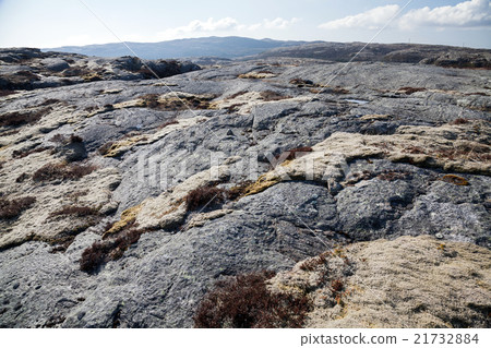 Norwegian landscape, dark gray flat rocks 21732884