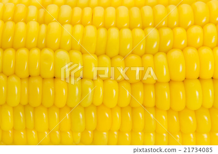 Close-up of yellow sweet corn concept 21734085
