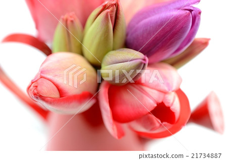 花卉背景 21734887