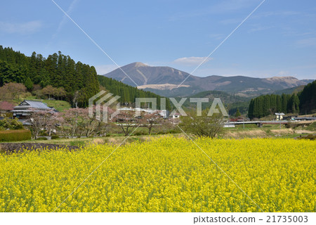 熊本縣小國町春天風景遠景Wakuyama 21735003