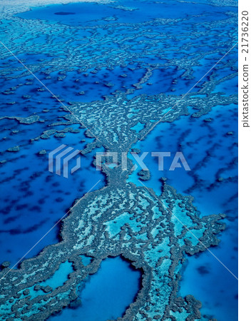Great Barrier Reef  21736220