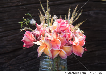 plumeria flower in the vase,soft focus plumeria flower in the vase,soft focus 21736365