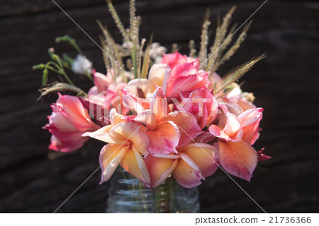 plumeria flower in the vase,soft focus 21736366