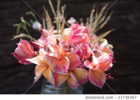 plumeria flower in the vase,soft focus 21736367