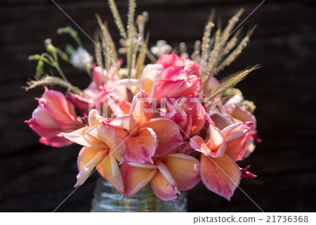 plumeria flower in the vase,soft focus plumeria flower in the vase,soft focus 21736368