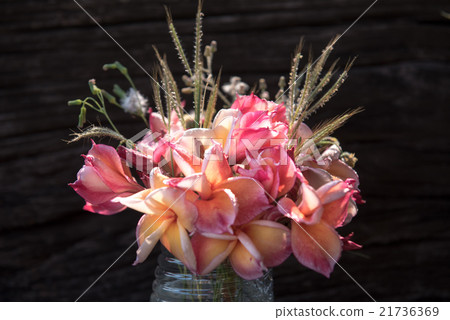 plumeria flower in the vase,soft focus plumeria flower in the vase,soft focus 21736369