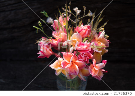 plumeria flower in the vase,soft focus 21736370
