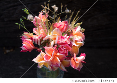 plumeria flower in the vase,soft focus plumeria flower in the vase,soft focus 21736373