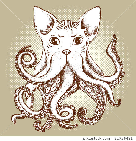 Mixed cat and octopus Mixed cat and octopus 21736481