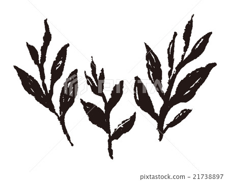 茶葉 21738897
