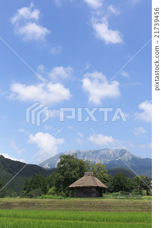 Oyama 21739456