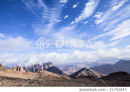 西奈山 21742655