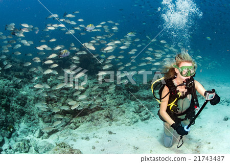 beauty blonde diver taking a selfie underwater beauty blonde diver taking a selfie underwater 21743487